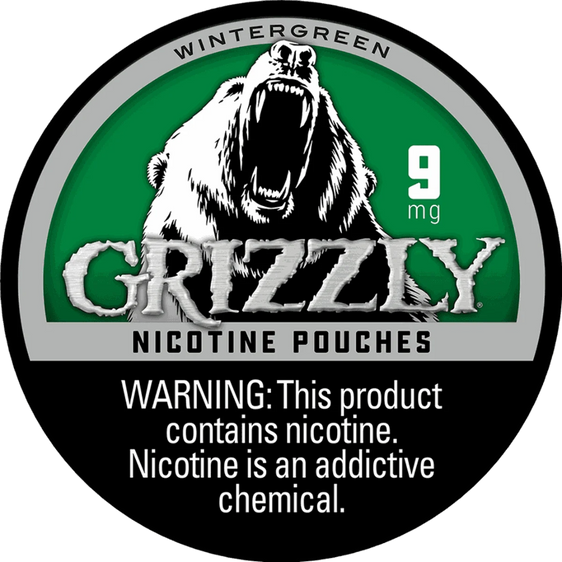 Grizzly Wintergreen Nicotine Pouches (5 Pack) - 9mg