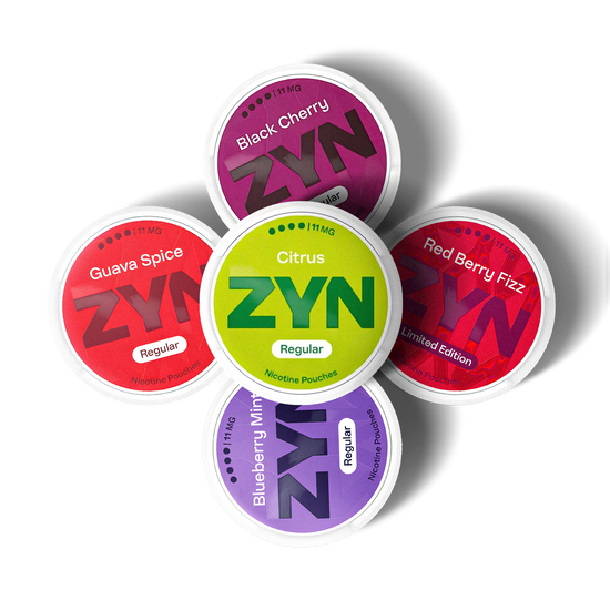 ZYN Regular 11mg Nicotine Pouch Bundle (5 Pack)