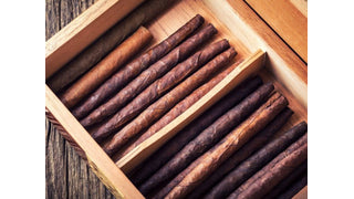 Does Your Humidor Have an Odor?