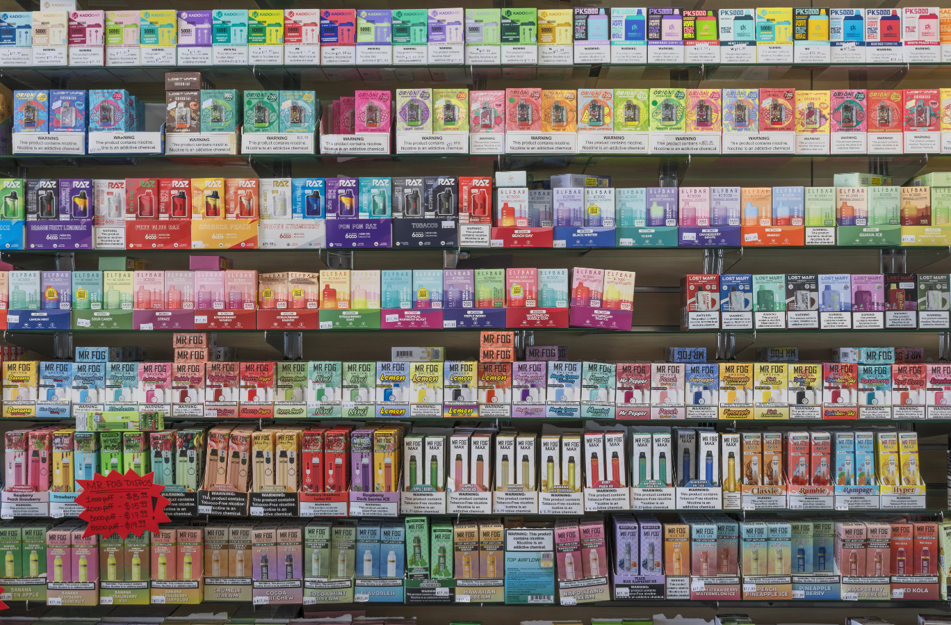 Savor the Season: Exploring Top Trends in Vape Flavors
