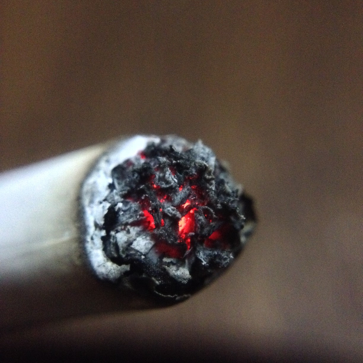 Cigars 101