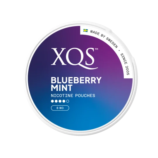 XQS Blueberry Mint 10mg Nicotine Pouches (5 Pack)