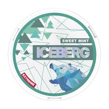 Iceberg Nicotine Pouches - Sweet Mint 35MG (5 Pack)