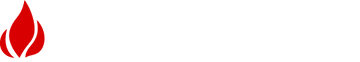 lighter usa logo
